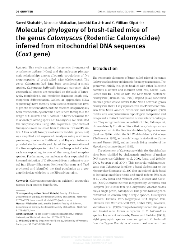(PDF) Molecular phylogeny of brush-tailed mice of thegenus Calomyscus ...