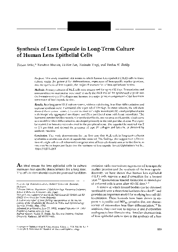 Synthesis paper culture 08 image