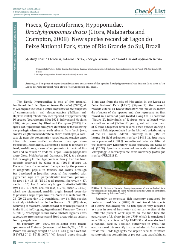(PDF) Pisces, Gymnotiformes, Hypopomidae, Brachyhypopomus draco (Giora