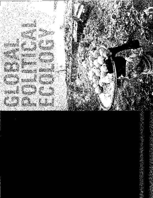 (PDF) Green evictions environmental discourses of a" slumfree" Delhi