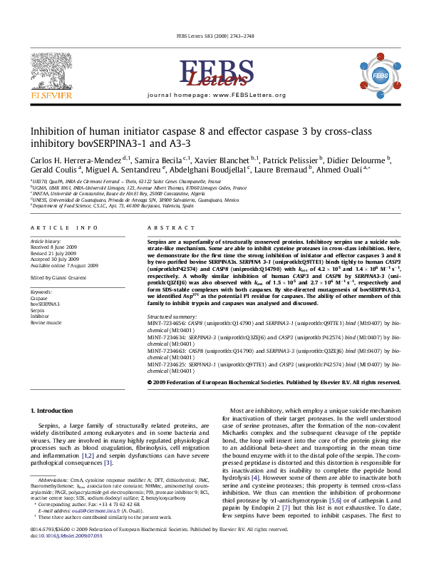 (PDF) Inhibition of human initiator caspase 8 and effector caspase 3 by ...