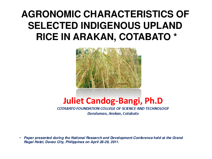 Upland rice varieties in the philippines picture