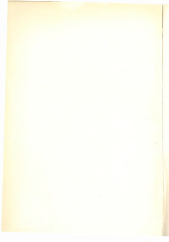 Datowanie względne geochronologii