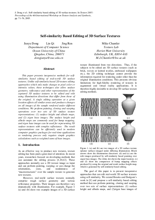 (PDF) Self-similarity Based Editing of 3D Surface Texture s