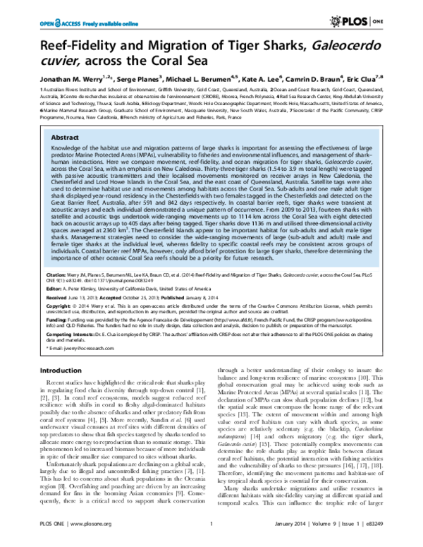 (PDF) Reef-Fidelity and Migration of Tiger Sharks, Galeocerdo cuvier