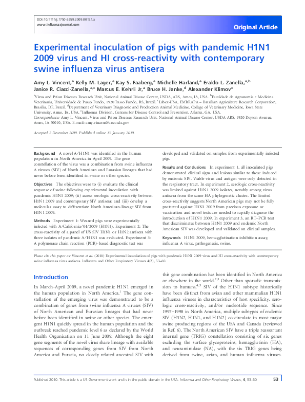 (PDF) Experimental inoculation of pigs with pandemic H1N1 2009 virus ...