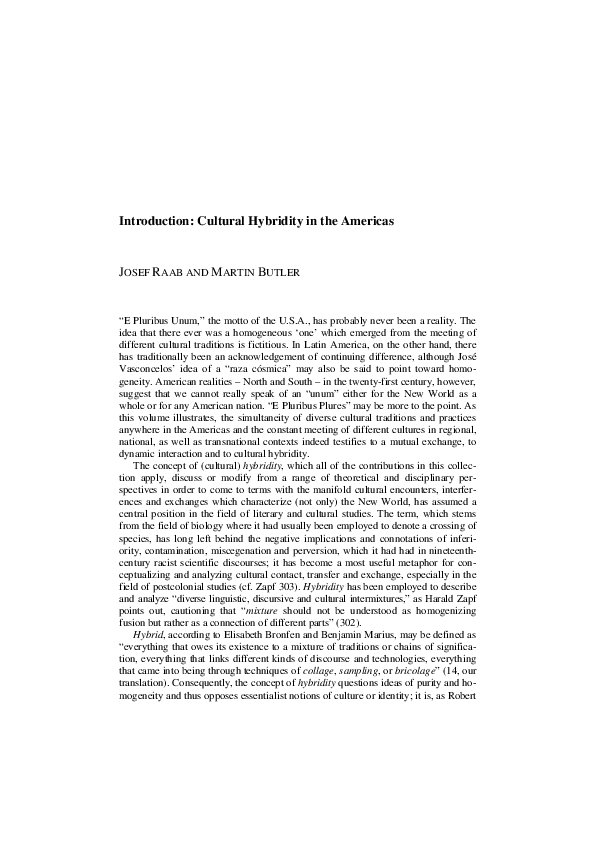 Cultural hybridity examples image