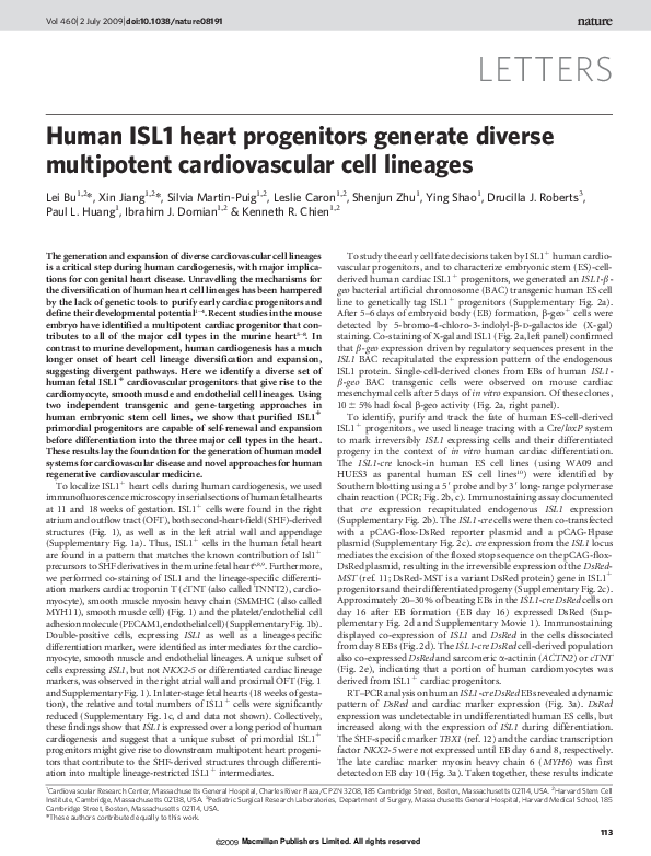 (PDF) Human ISL1 heart progenitors generate diverse multipotent