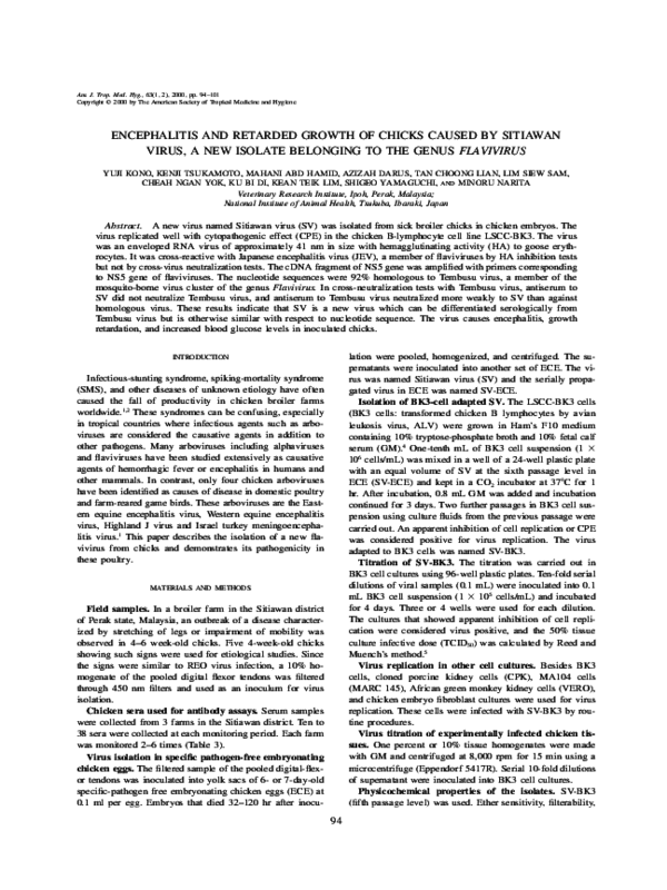Encephalitis after effects picture