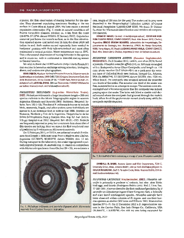 (PDF) Pituophis catenifer (Pacific Gopher Snake). Diet