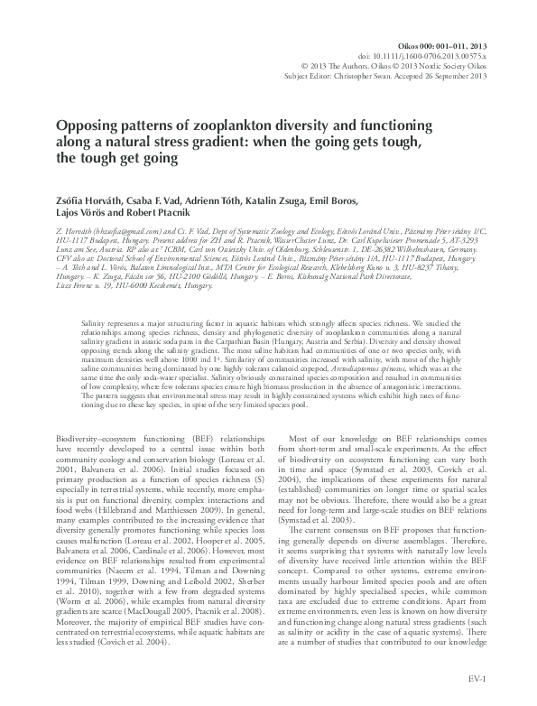 Point-by-point essay outline example picture