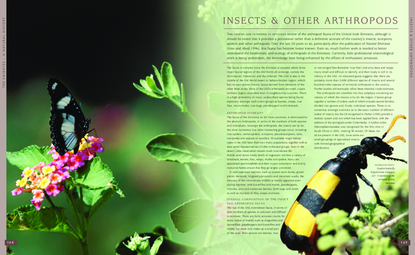 (PDF) Insects and other Arthropods of the United Arab Emirates
