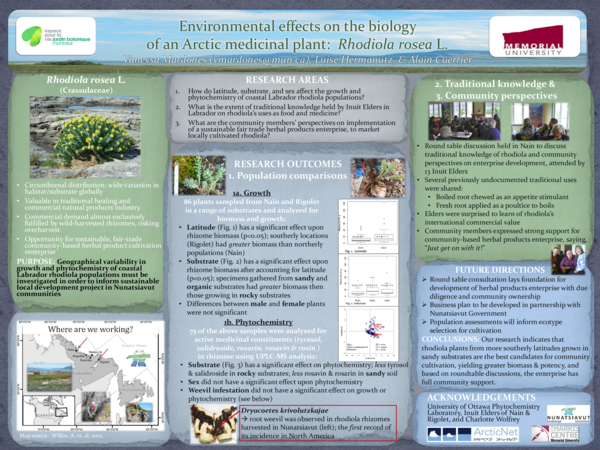 Phd thesis on medicinal plants