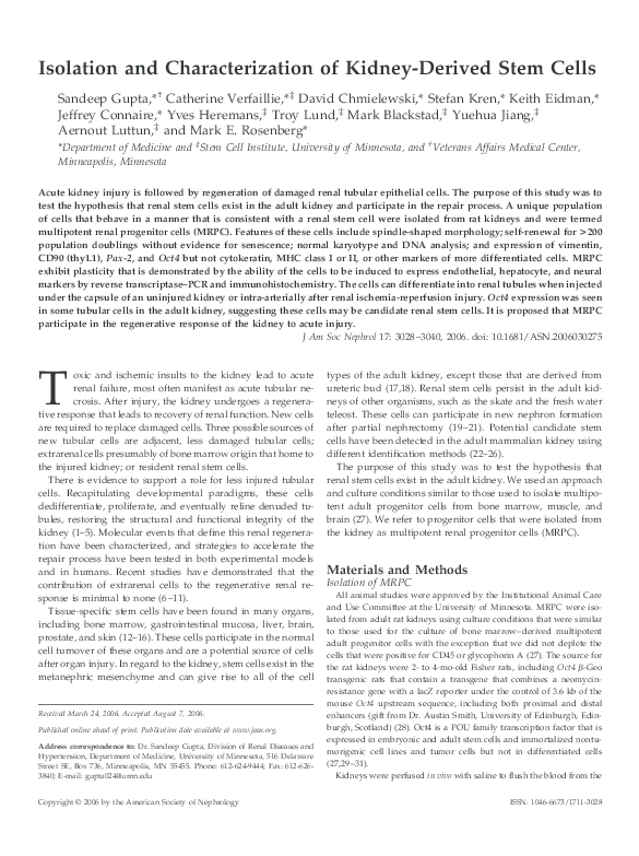 (PDF) Isolation and Characterization of Kidney-Derived Stem Cells