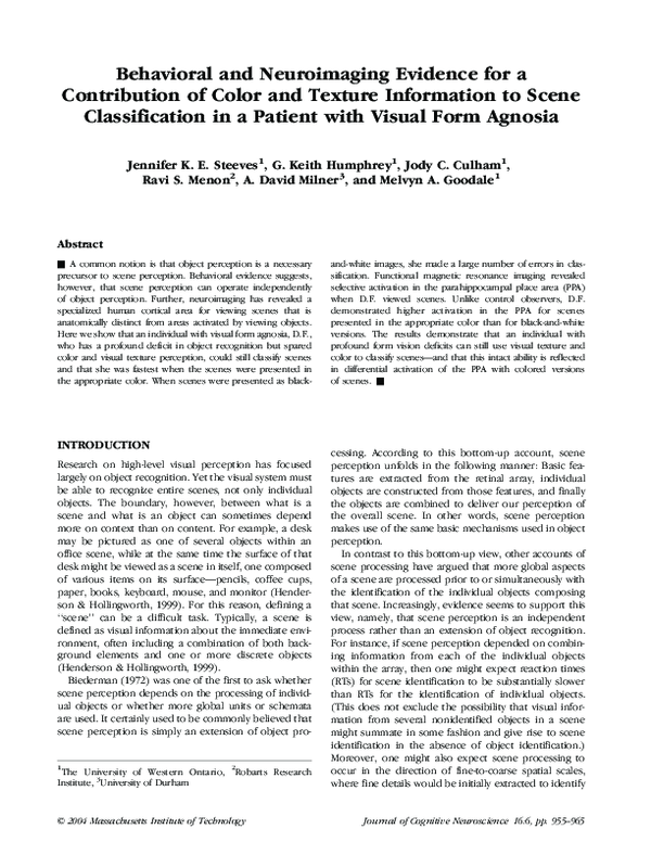 (PDF) Behavioral and Neuroimaging Evidence for a Contribution of Color ...