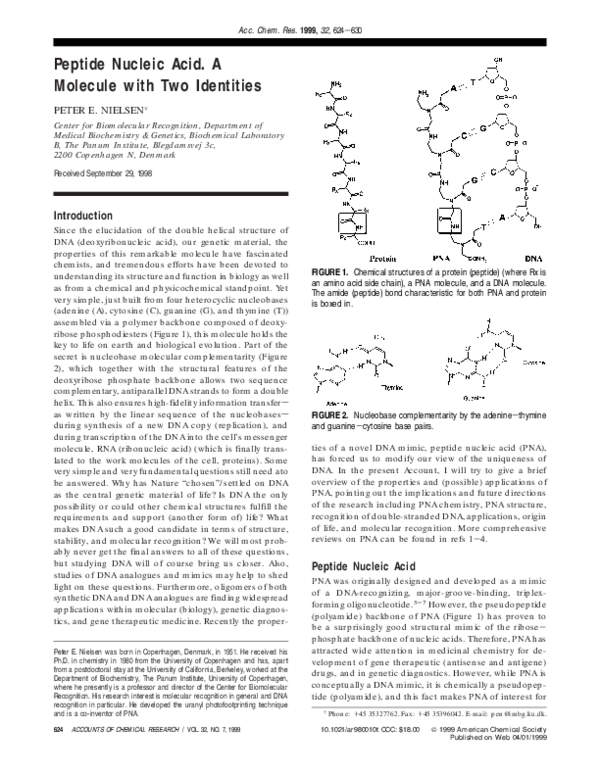 (PDF) Peptide Nucleic Acid. A Molecule with Two Identities