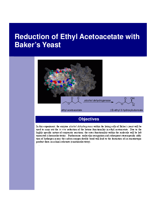 (PDF) Reduction of Ethyl Acetoacetate with Baker's Yeast Amos Famous