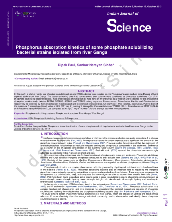 Paul copperman essay on absorption 02 image