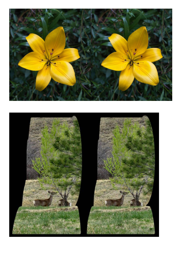 (DOC) Stereogram