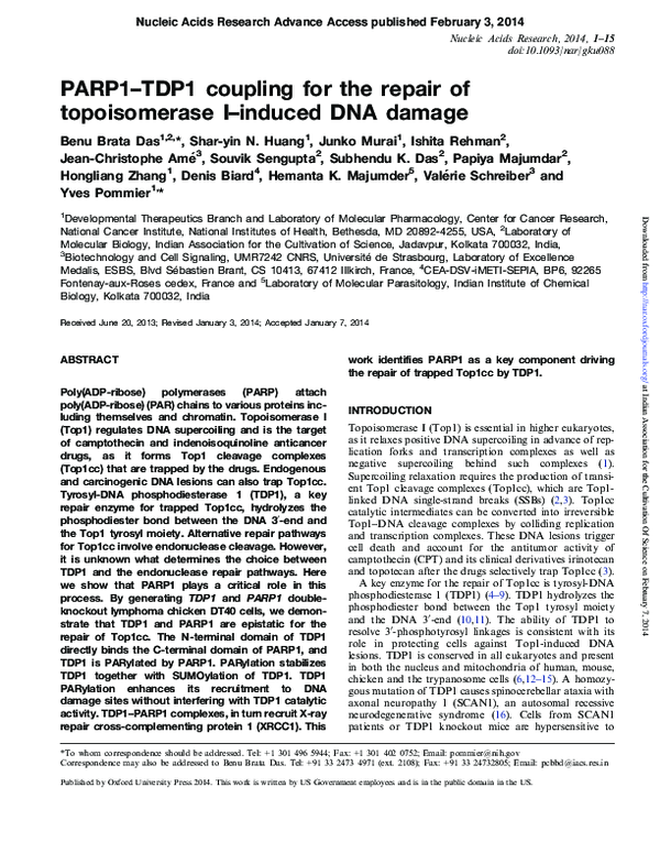 (PDF) PARP1–TDP1 coupling for the repair of topoisomerase I–induced DNA ...