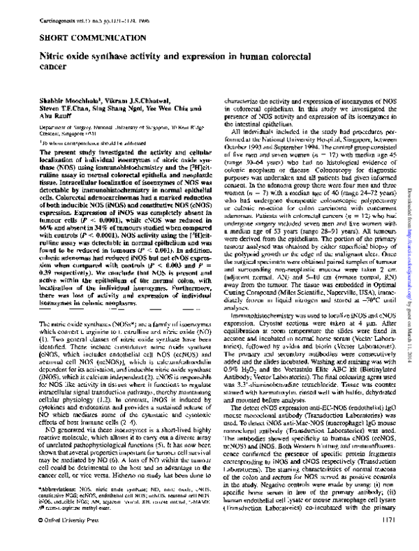 (PDF) Nitric oxide synthase activity and expression in human colorectal