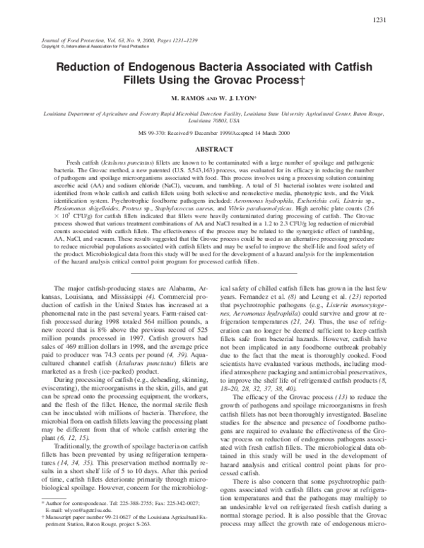 Endogenetic process essay image