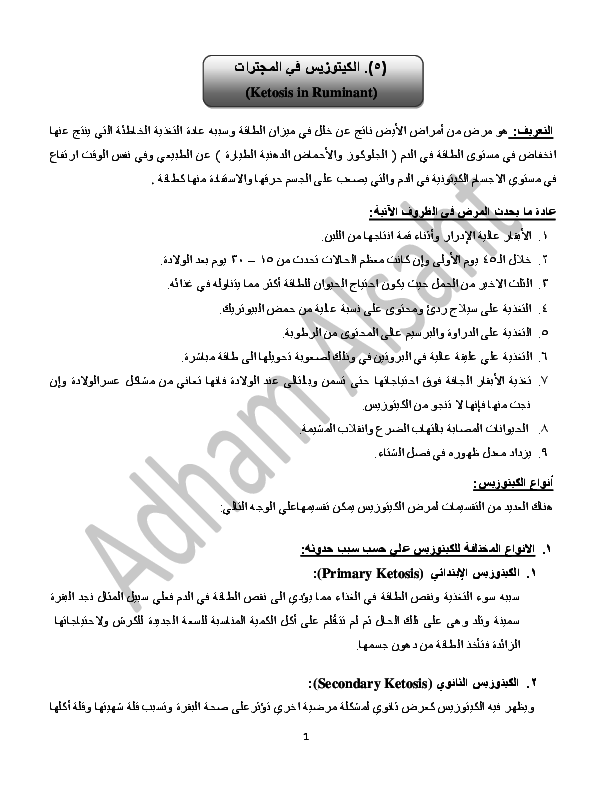 (PDF) الكيتوزيس في المجترات Ketosis in Ruminant Adham AlSagheer