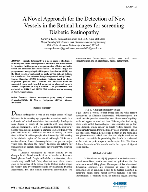 (PDF) A Novel Approach for the Detection of New Vessels in the Retinal ...