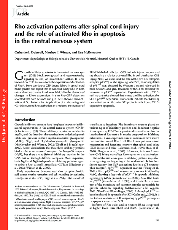 (PDF) Rho activation patterns after spinal cord injury and the role of ...