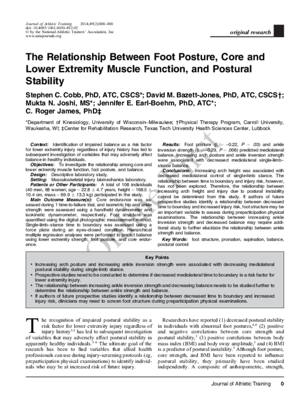 (PDF) The relationship between foot posture, core and lower extremity ...