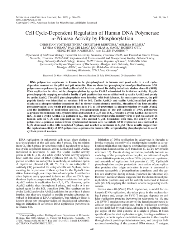 (PDF) Cell Cycle-Dependent Regulation of Human DNA Polymerase a-Primase ...