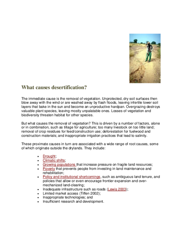 (DOC) Environmental issues