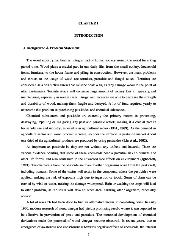 (DOC) LI REPORT 2nd version