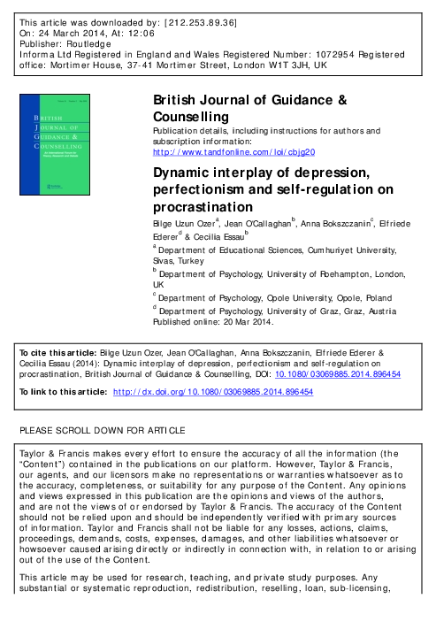 Perfectionism definition picture
