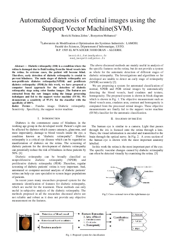 (PDF) Automated diagnosis of retinal images using the Support Vector ...