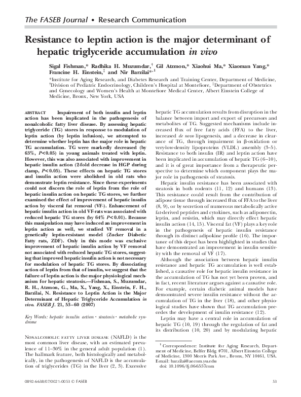 (PDF) Resistance to leptin action is the major determinant of hepatic ...