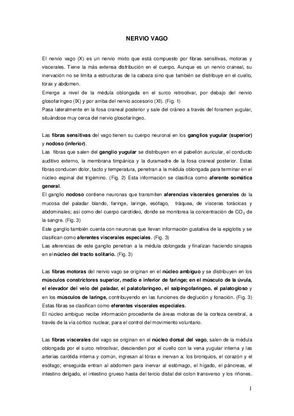 Pdf Nervio Vago