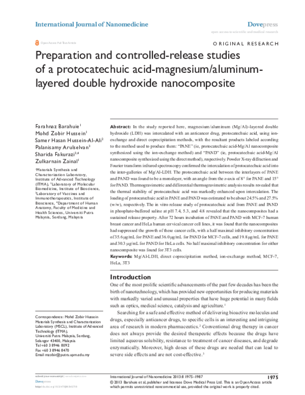 Nanomedicine essay 06 picture
