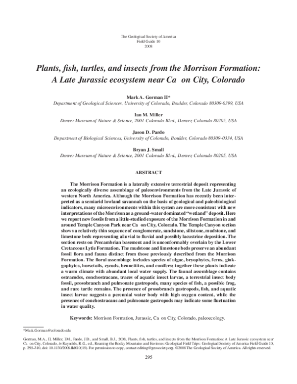 (PDF) Plants, fish, turtles, and insects from the Morrison Formation: A ...