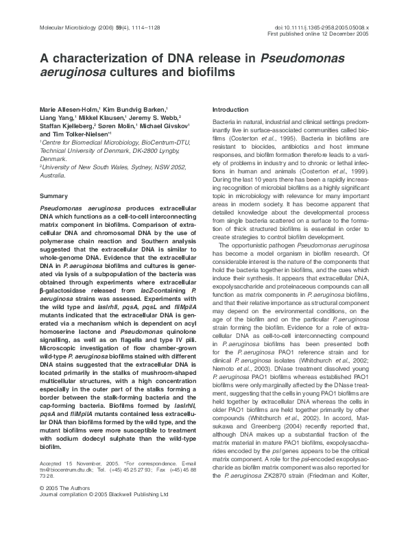 Diseases caused by pseudomonas aeruginosa picture