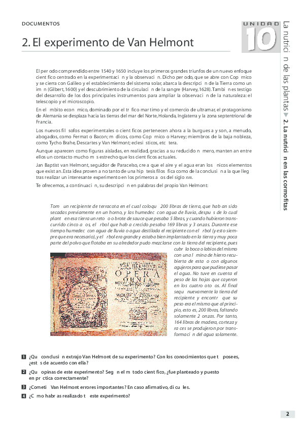 Perdida de peso de la tierra de sauce van helmonto
