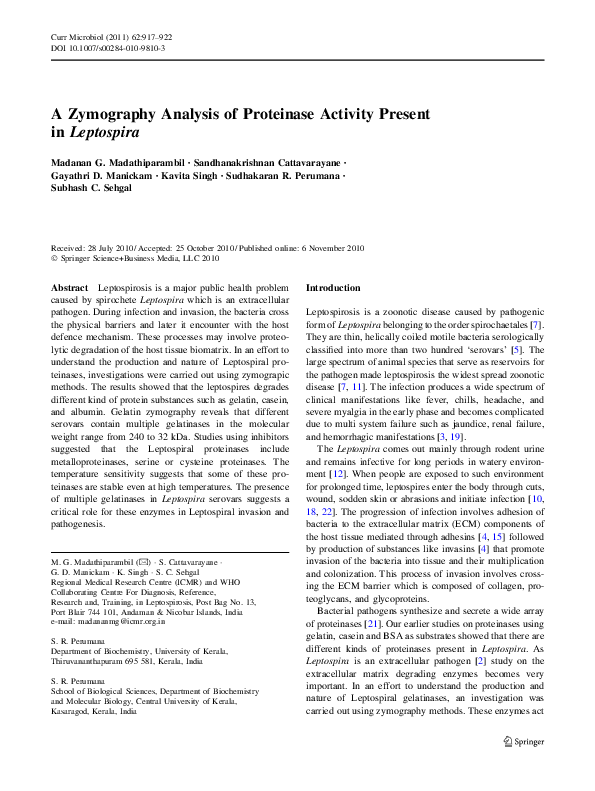 Definition of leptospirosis image