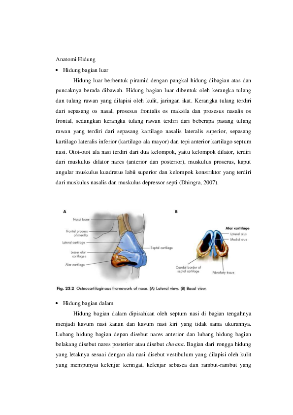 (DOC) anatomi hidung dan rhinitis