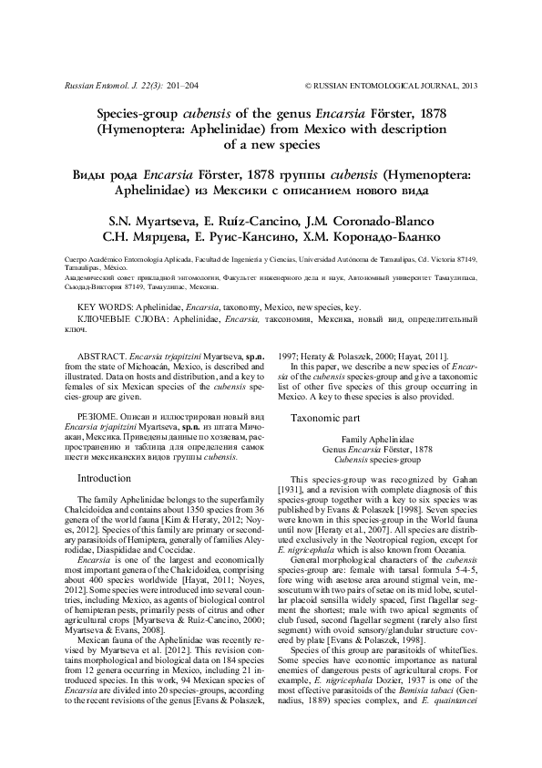 Pdf Species Group Cubensis Of The Genus Encarsia Foerster 1878 Hymenoptera Aphelinidae From Mexico With Description Of A New Species Juana Maria Coronado Blanco And Enrique Ruiz Cancino Academia Edu