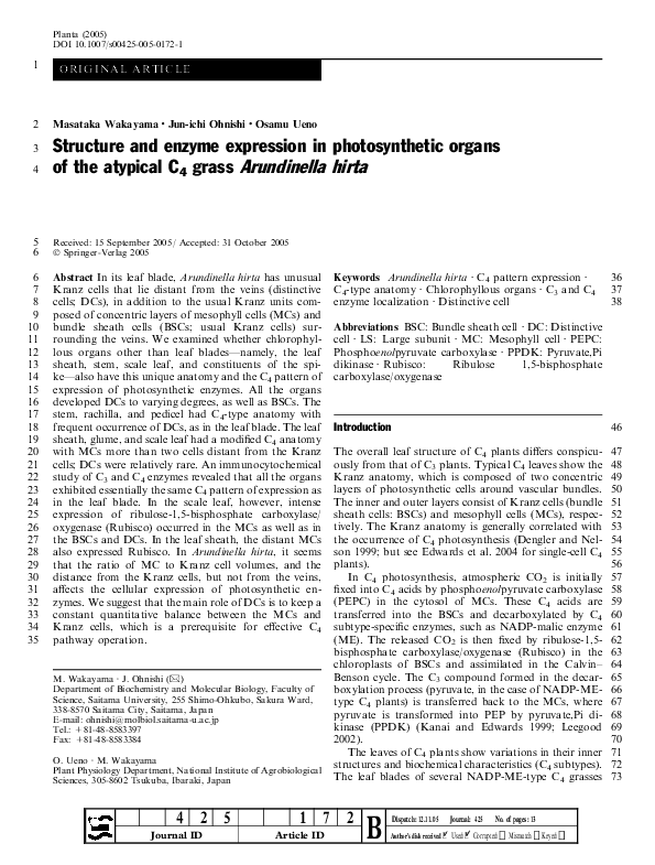 123 essays free essays picture