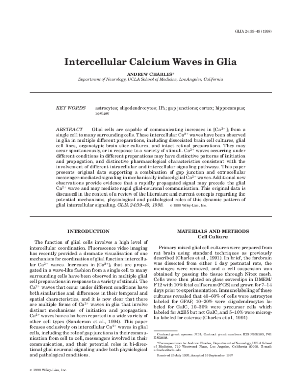 (PDF) Intercellular calcium waves in glia