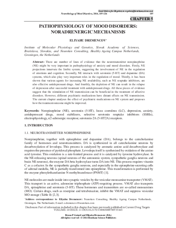 Google scholar picture