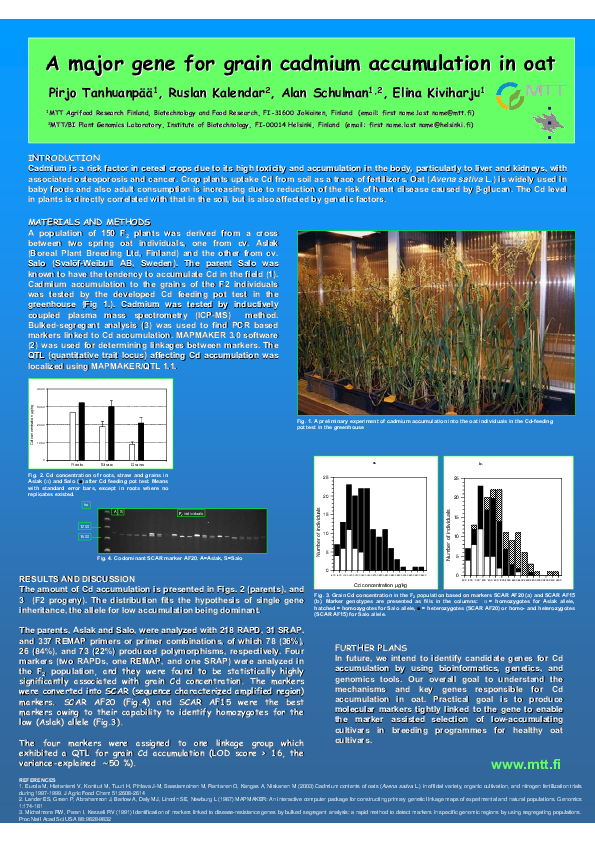 (PDF) Cadmium is a risk factor in cereal crops due to its high toxicity