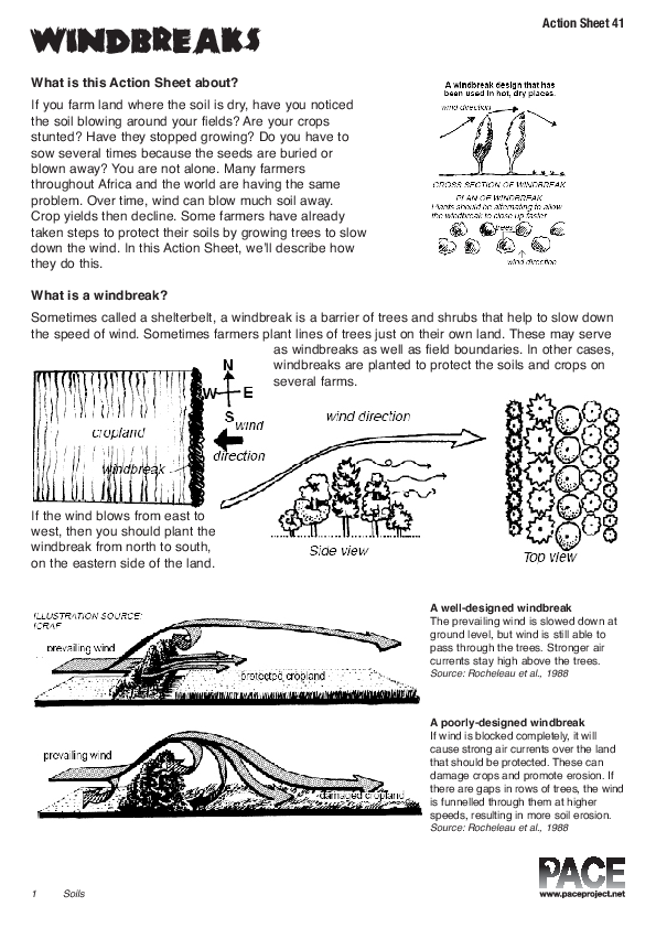 (PDF) Action Sheet 41