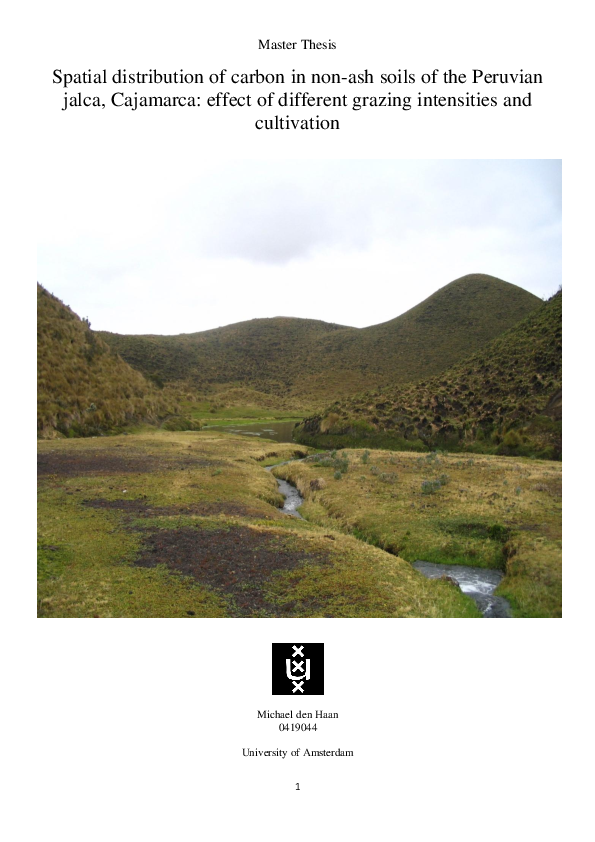 (PDF) Spatial distribution of carbon in non-ash soils of the Peruvian ...